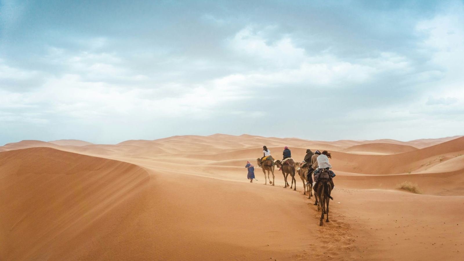 Camel caravan in the Sahara